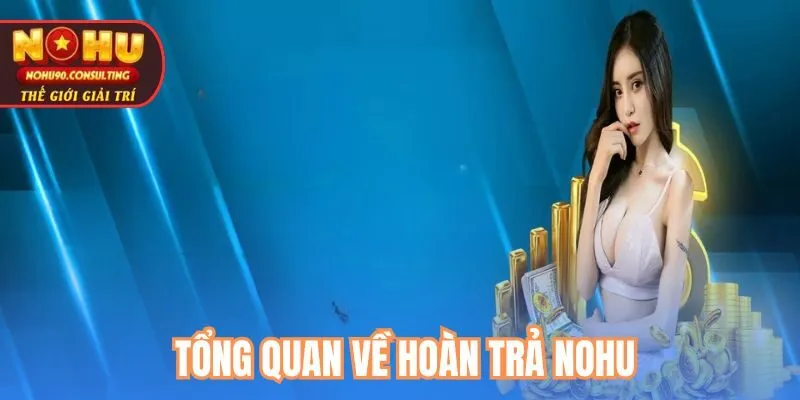 Tổng Quan Về Hoàn trả nohu
